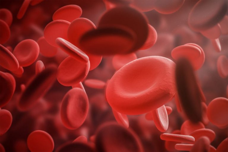 Portable clotting agent slows internal bleeding by 97% in mice